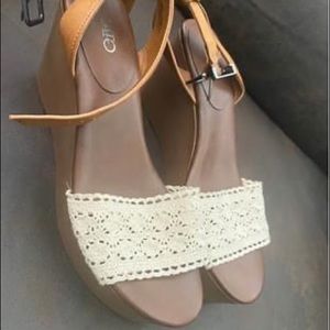 Cato wedges